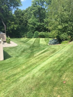 Lawn Mowing